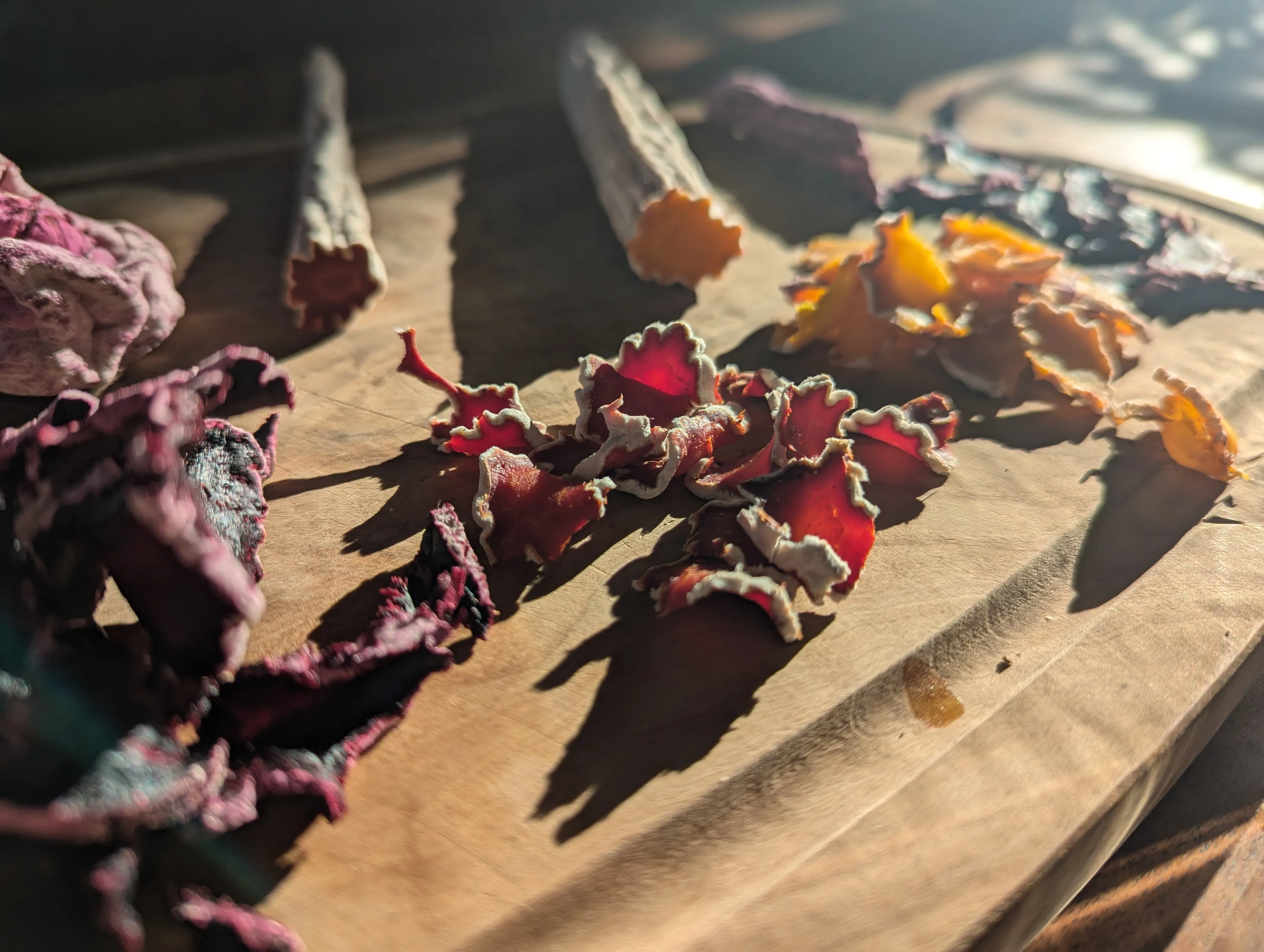 Veganistische groentecharcuterie gefermenteerd met koji